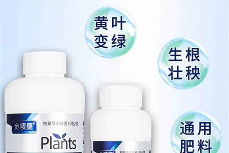 水果如何施用鱼蛋白肥,效果惊喜