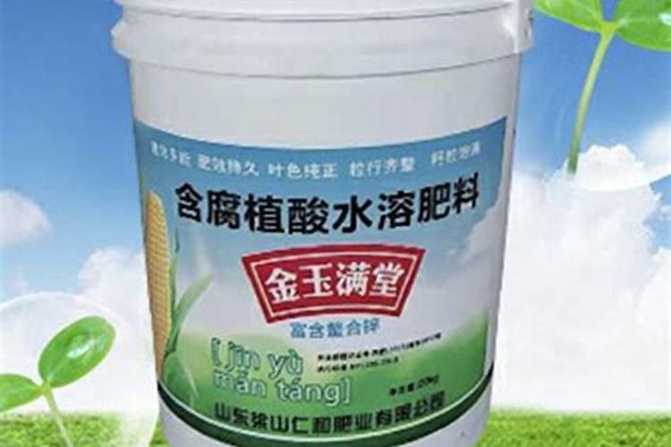 金玉满堂花施什么肥