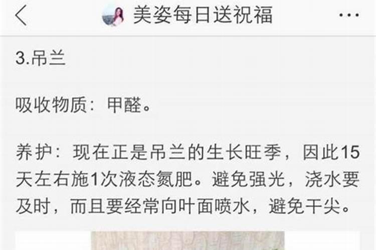 金正大控释玉米专用肥261212多少钱一吨