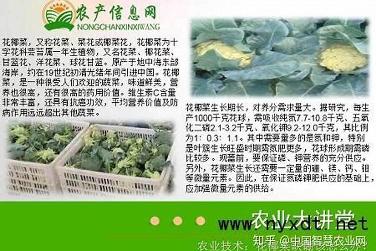 SDS细菌裂解液的配方？