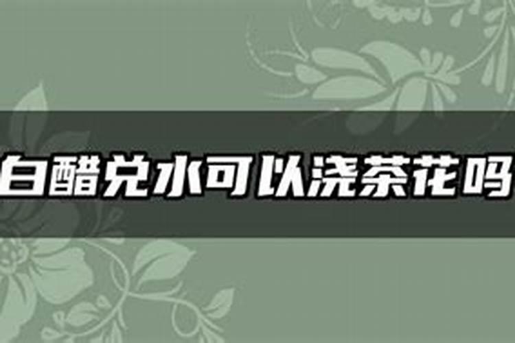 绣球可以用白醋调色吗