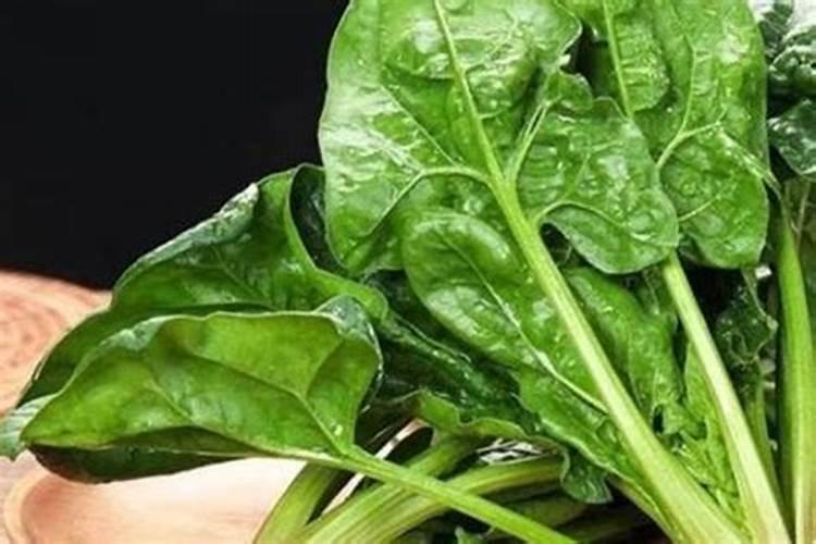 海蛎子的壳主要成分是什么用它养多肉植物行不行？