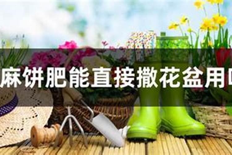 饼肥在花卉换土的时候可以直接混在土里吗？