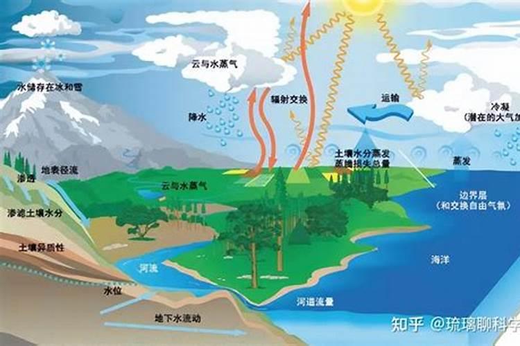 硝基复合肥优势在哪,有哪些使用禁忌