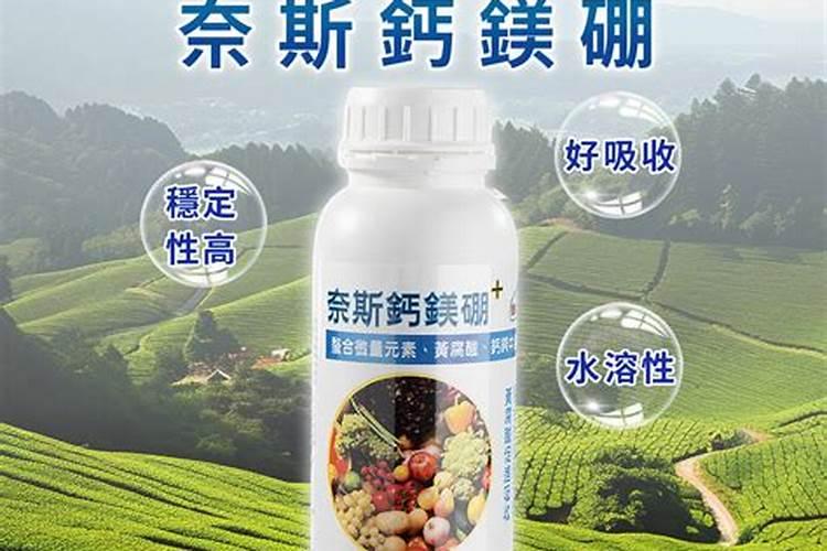 番茄合理的施肥灌溉 番茄施肥技巧