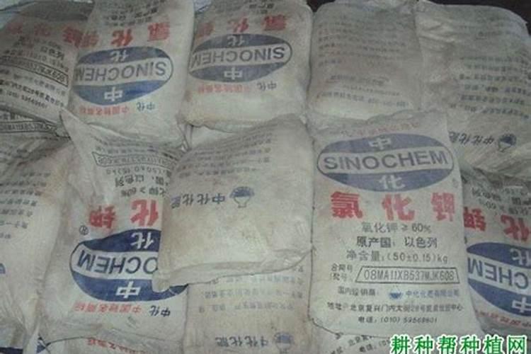 果树用硫酸钾与氯化钾哪个好 什么植物不能用氯化钾