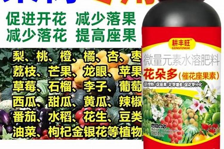 塞尔达传说旷野之息全宝箱攻略