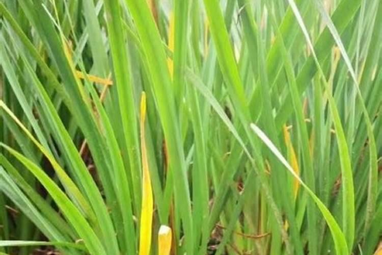 汉中市汉台区创达电子有限公司怎么样？