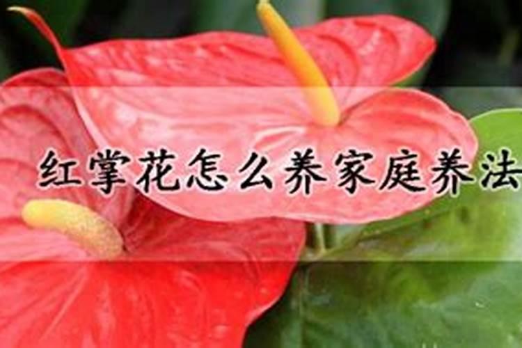 济宁中农大化复合肥怎么样