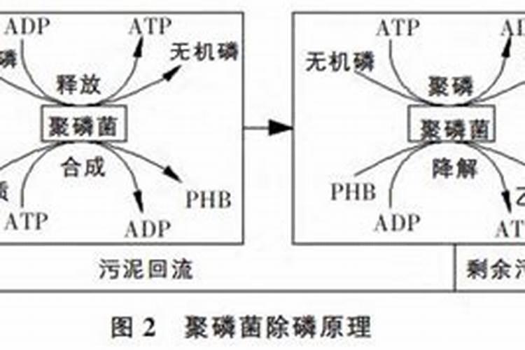 一亩地用多少硼肥
