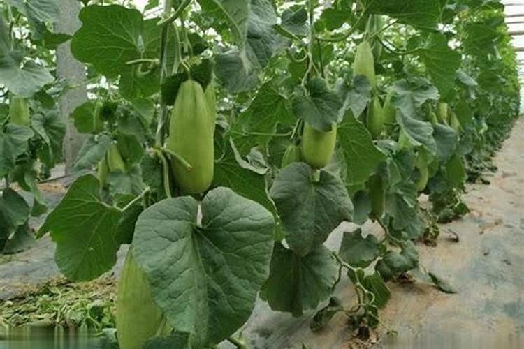 科霸c30e使用说明