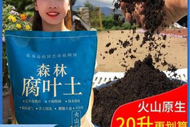 腐植酸生产厂家