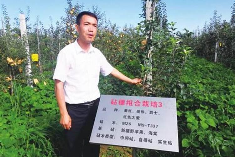 谁知道叶面肥资质配方？
