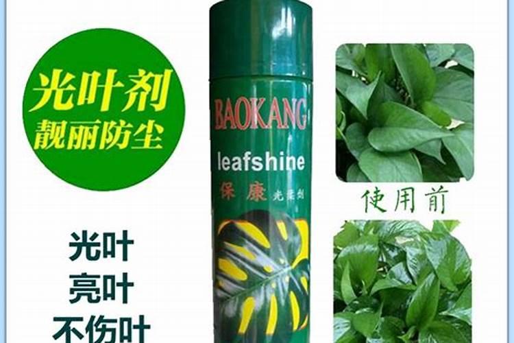 使叶面深绿的叶面肥,使叶色浓绿的是什么肥