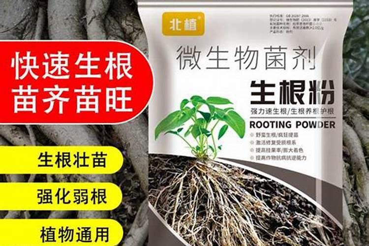 最美张家界十大景点(张家界慈利十大景点)