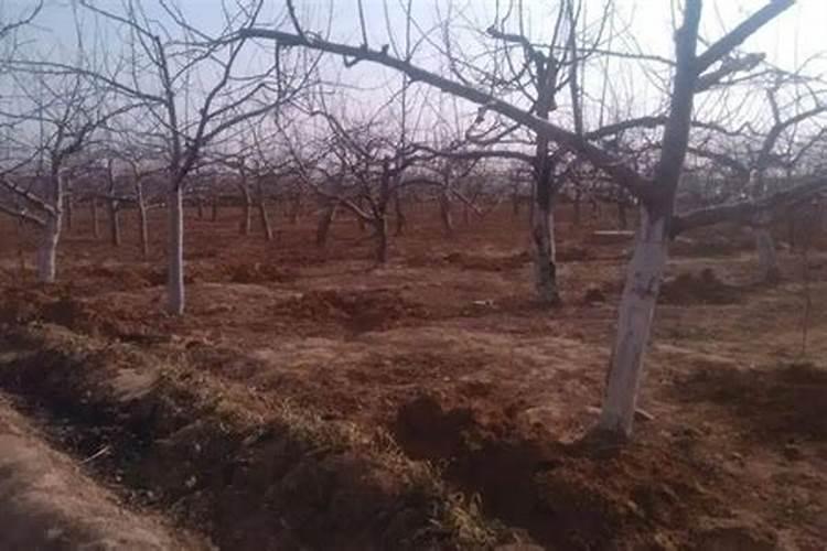 每天一篇电影解说文案