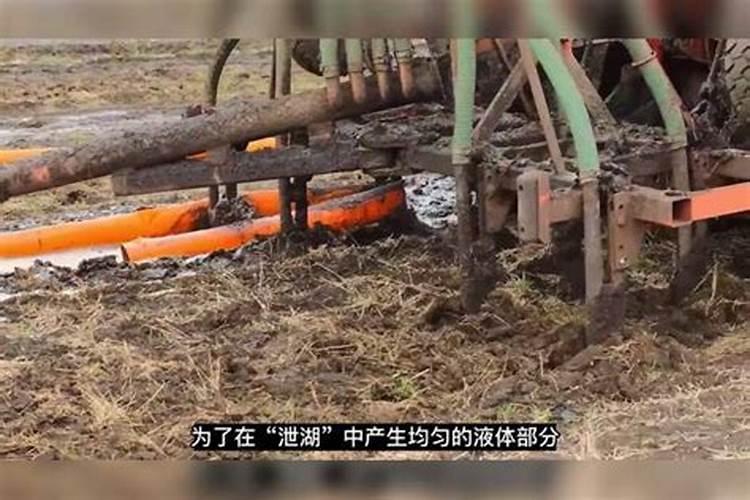 为什么农民伯伯经常要给农田翻土,施肥