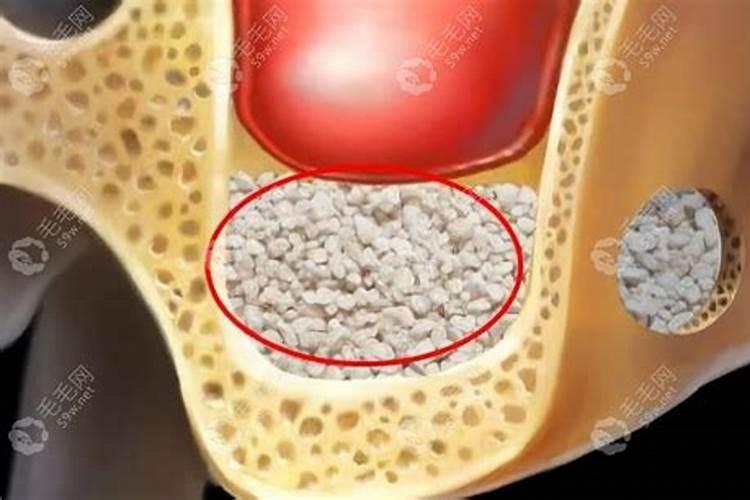 重庆威斯特电梯是几线品牌