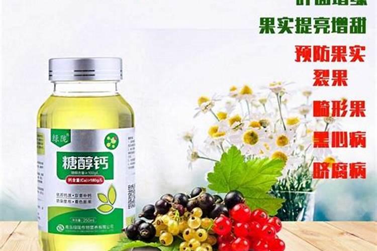 谷朊粉可以做面包吗