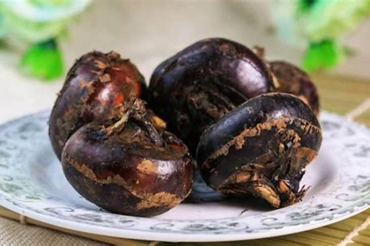 文竹需要施肥吗