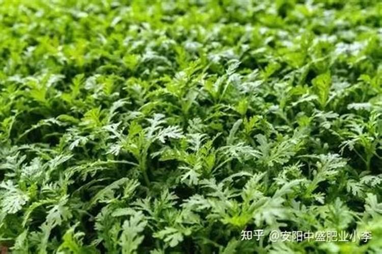 淄博诺德威肥业有限公司怎么样？