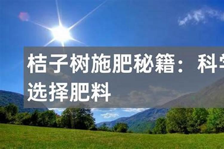 桔子什么时候施肥最合适