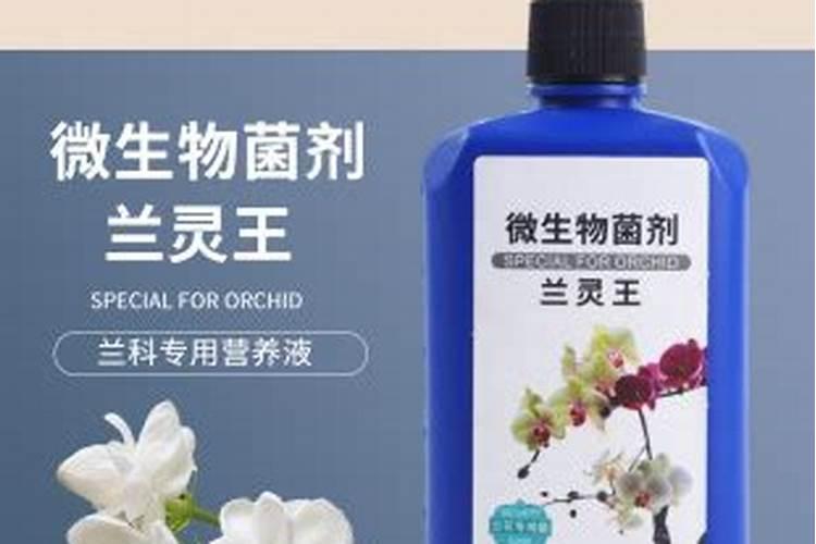 硫胺化肥芹菜不长可以使用吗
