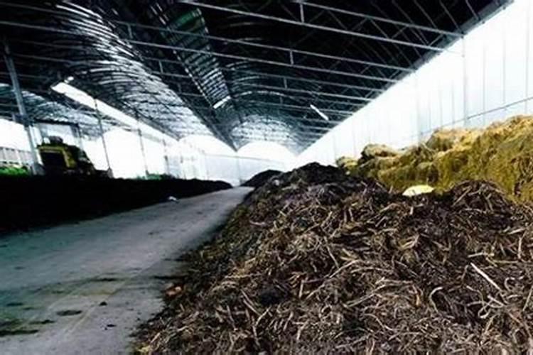 复合肥可以兑水浇植物蔬菜吗