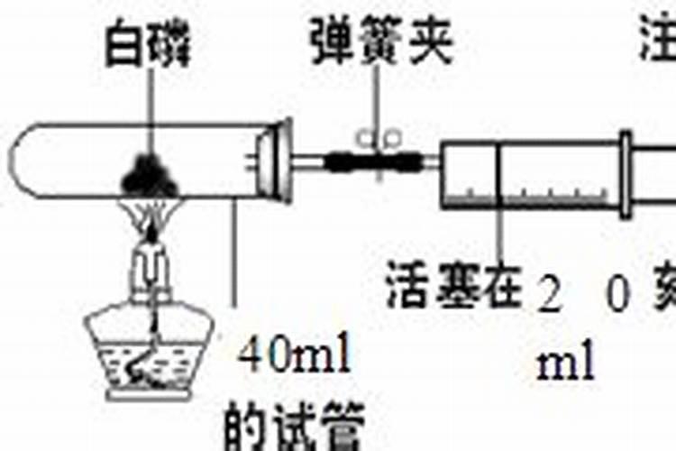 桉树肥料多少钱一吨