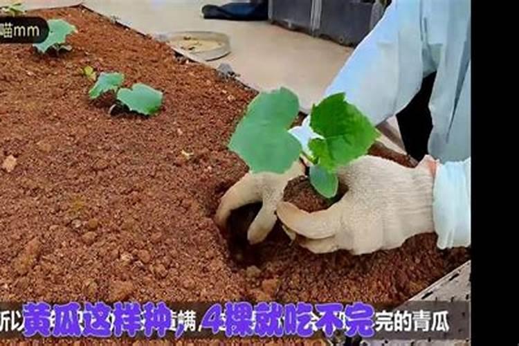 沤肥和堆肥的区别