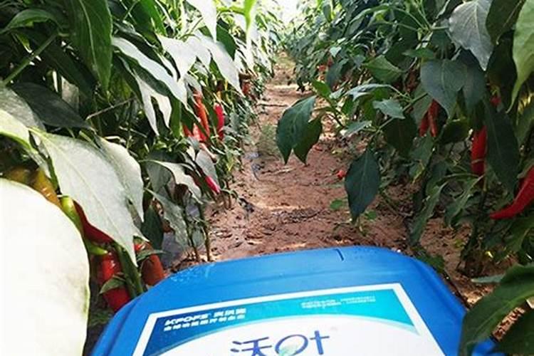 最好的进口硝酸钾