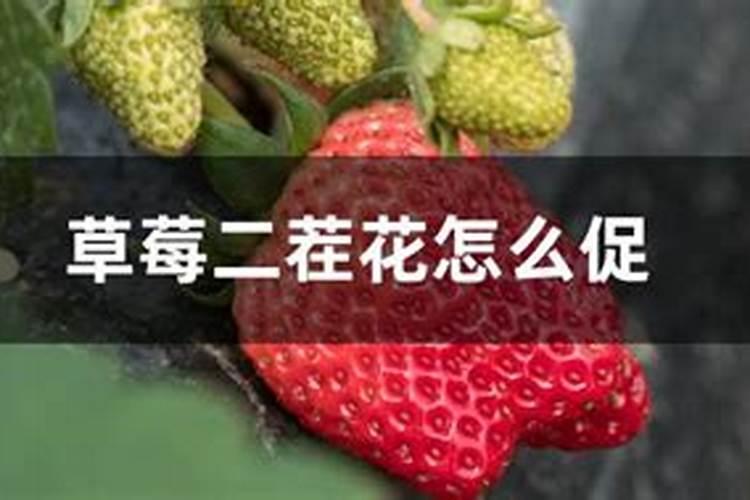 江西木醋液批发代理