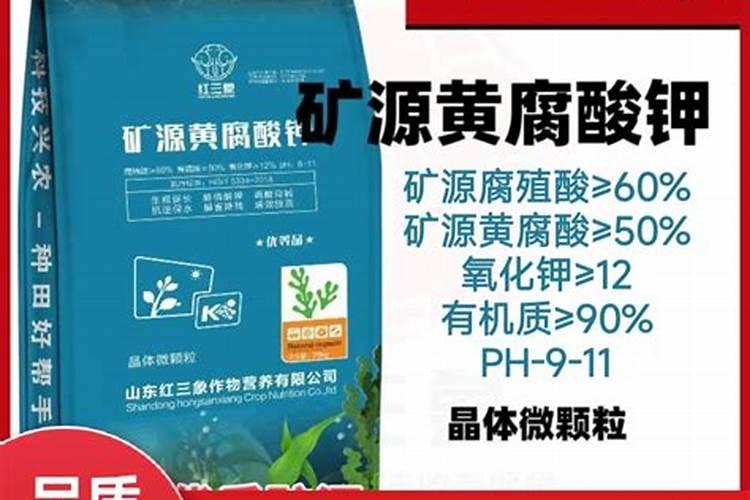 生姜用什么生根肥好
