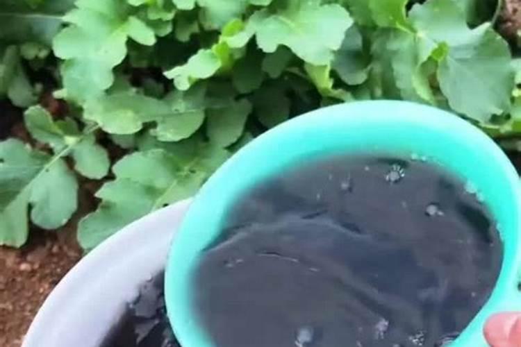 红薯最喜欢什么肥料？不用化肥用什么肥最好？怎么施肥产量高？