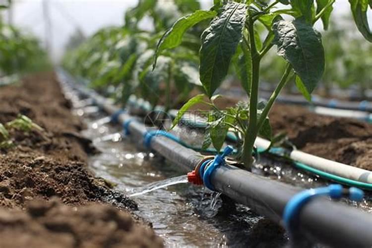 韶峰复合肥怎么样？效果？