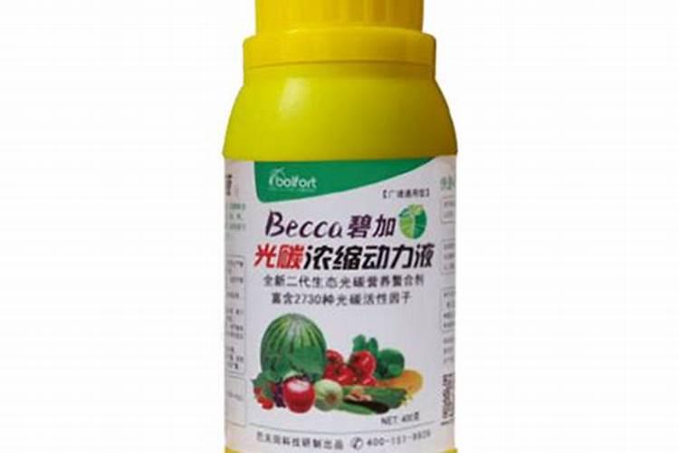 挖来的苔藓怎么养？这样成活率最高!