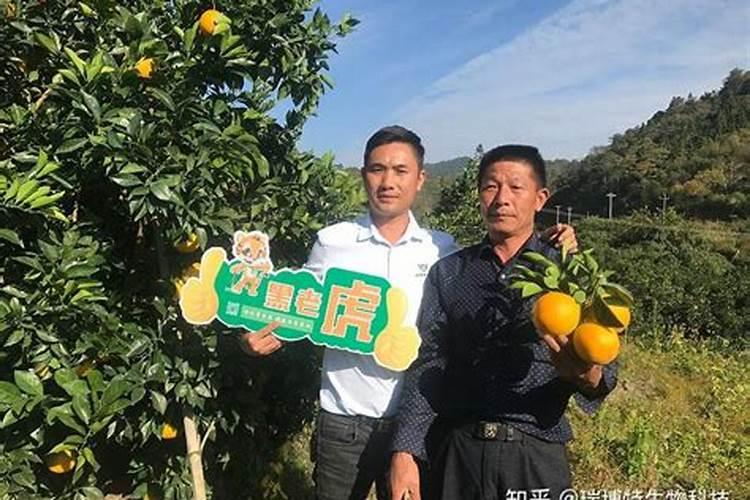 脐橙虫伤落果,有什么方法能防治？