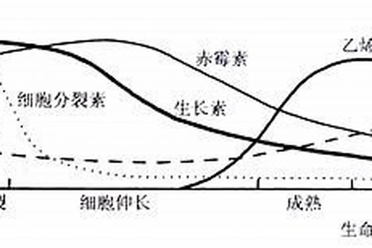 为了让果树的果子又大又甜,应该用什么肥料？