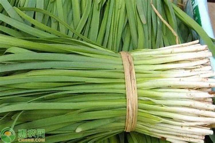 韭菜小葱应该怎样追肥