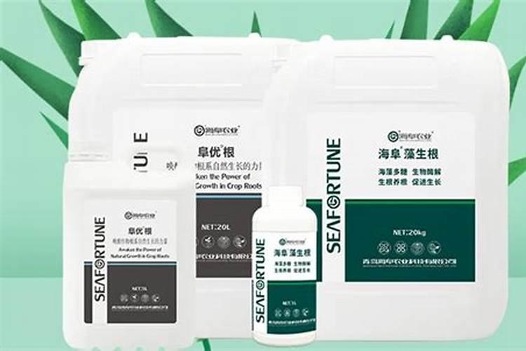 草莓什么时候施肥最好 草莓的施肥时间