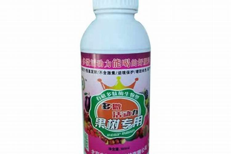 四季豆全年施肥时间及施肥方法