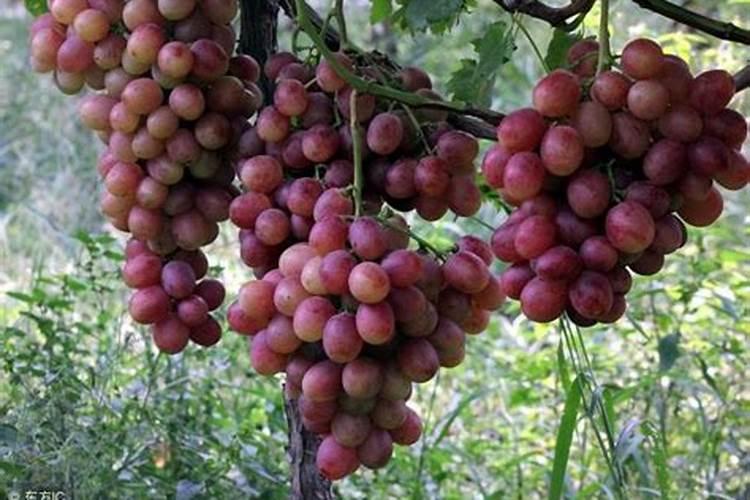 一吨进价350元卖给农户3150元!氮肥冒充复合肥!这些肥料不能买百度知...