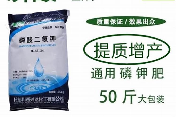 玉米怎样施肥最正确