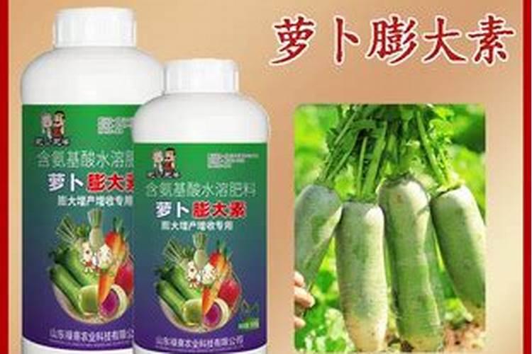 请问老师种白菜萝卜,施什么肥？