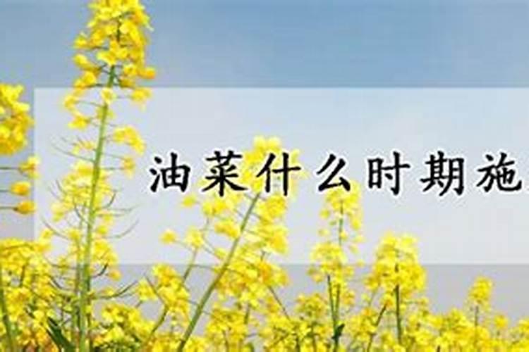 硅肥不能和什么混用
