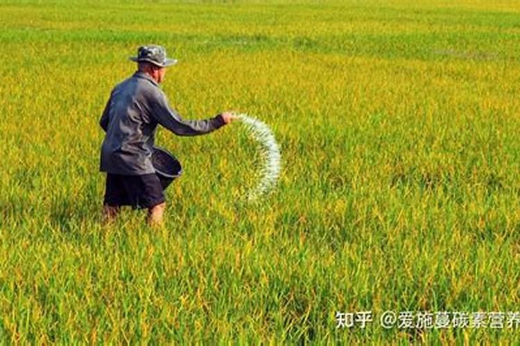 甘肃水溶肥设备厂家,甘肃水溶肥设备供应厂家电话价格地址