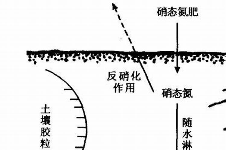 水田施用硝态氮肥是怎样的？