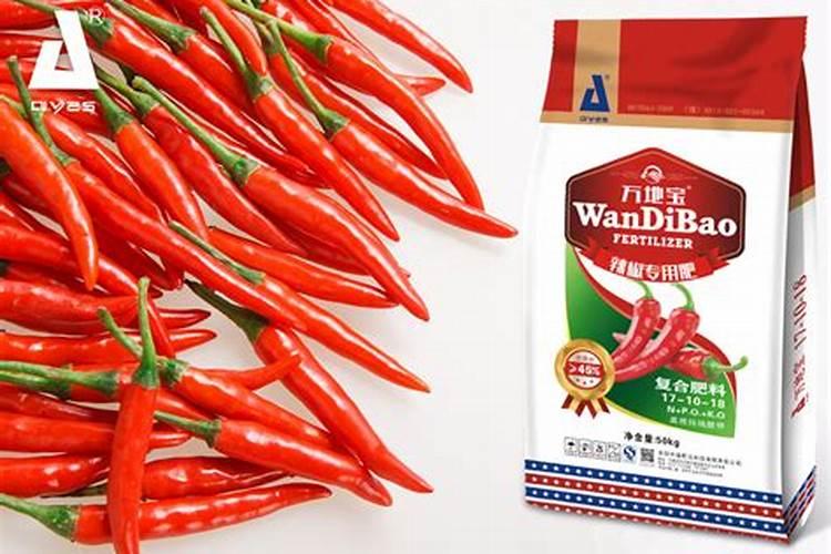 水溶肥在辣椒地怎么使用