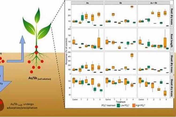 有机水溶肥是什么肥？有什么优势和作用？