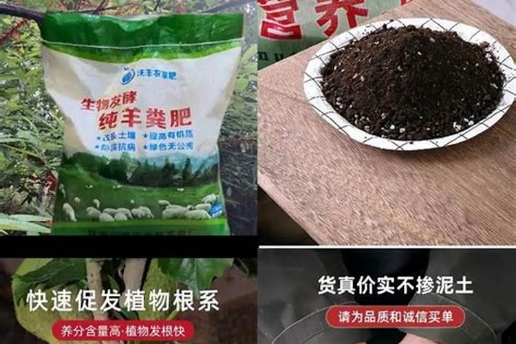 什么牌子的玉米专用肥最好？